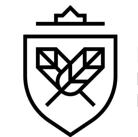 ليدرز للترجمة