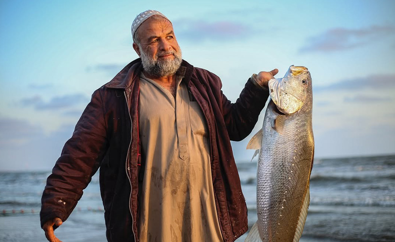 تصدير ووصول أول شحنة أسماك الي دول الاتحاد الأوروبي